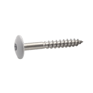 Fassadenschrauben Edelstahl | 4,8 x 38 mm | RAL 9010 weiß | TX20 | 100 Stk.