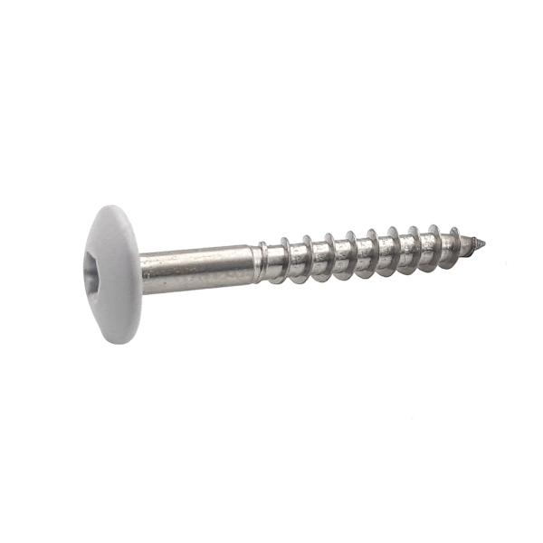 Fassadenschrauben Edelstahl | 4,8 x 38 mm | RAL 9010 weiß | TX20 | 100 Stk.